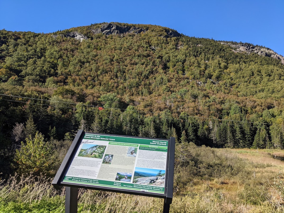 Brandon Brook