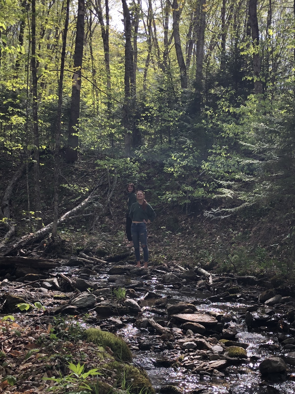 Michigan Brook