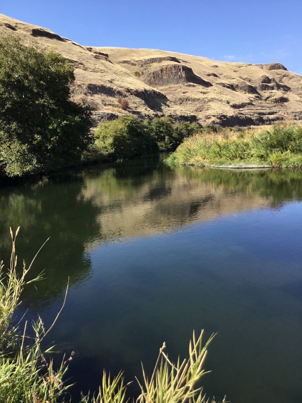 Lake Herbert G West