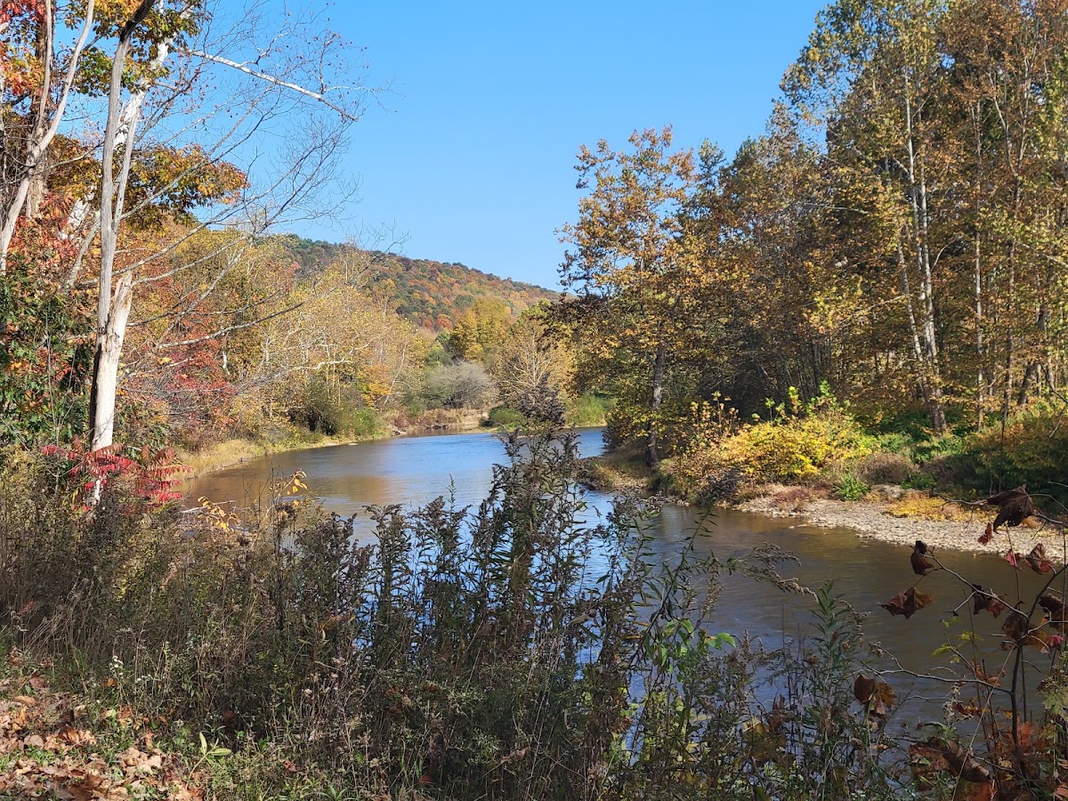Tionesta Creek