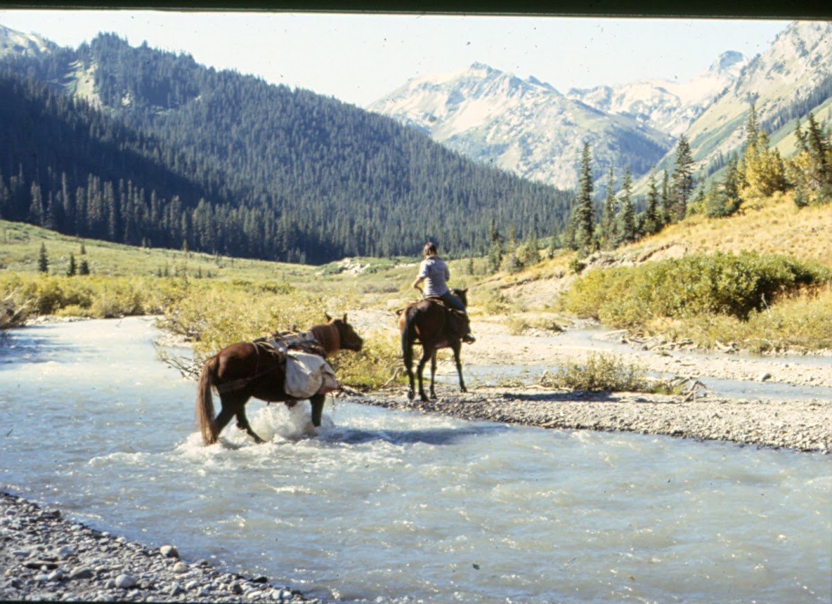 Napeequa River