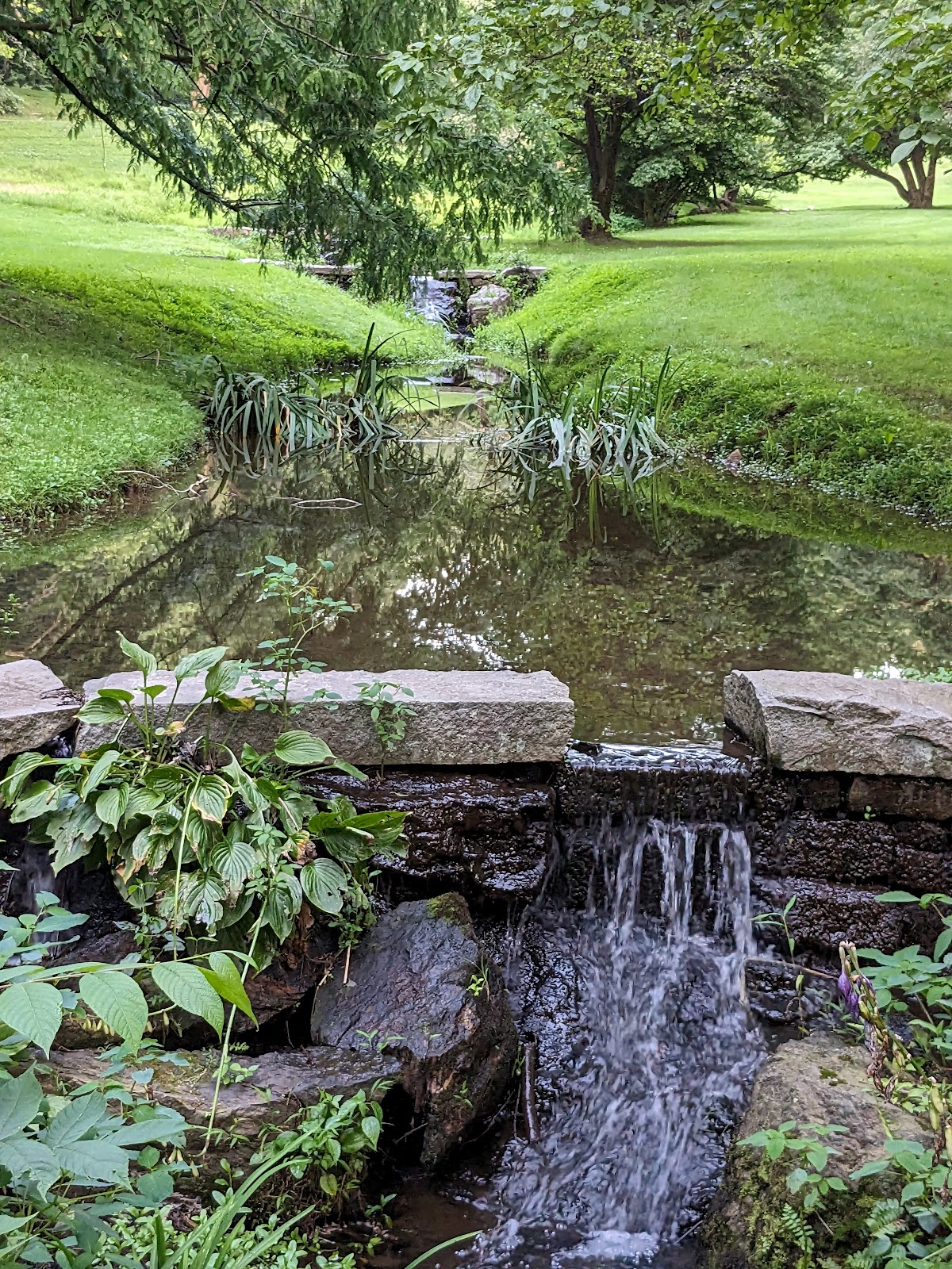 Valley Garden Park
