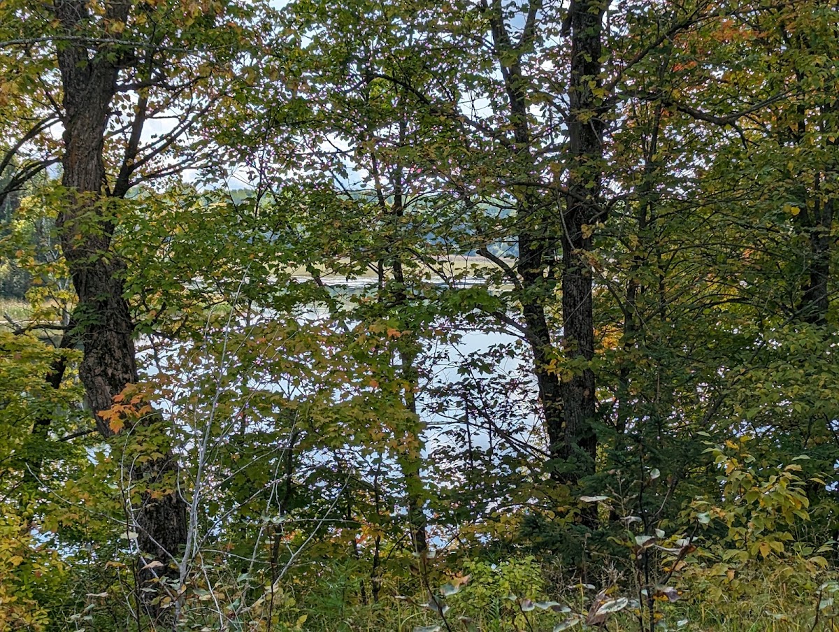 Pimushe Lake