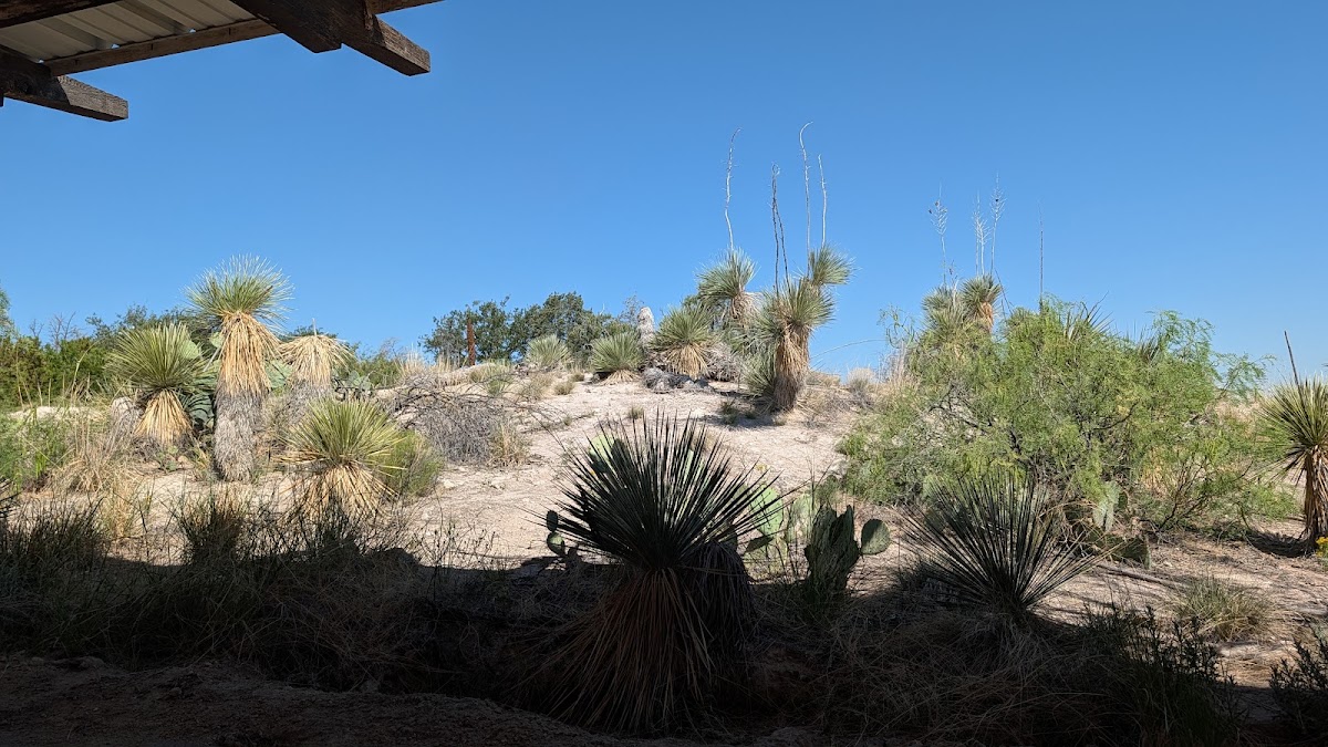 Living Desert Zoo & Gardens