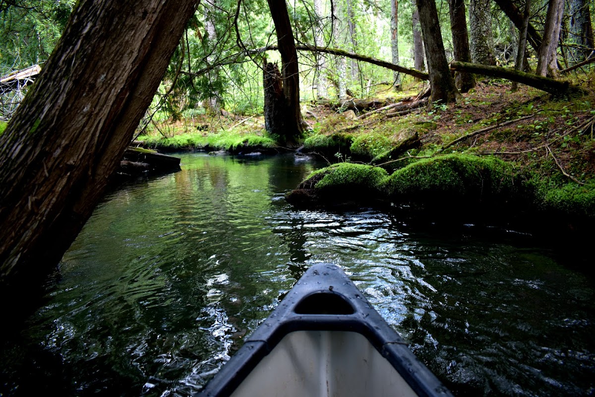 Shingobee River