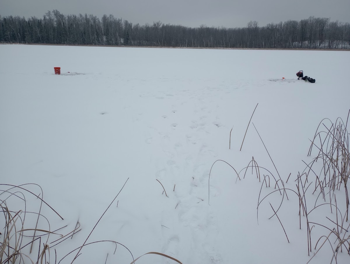 Tidd Lake