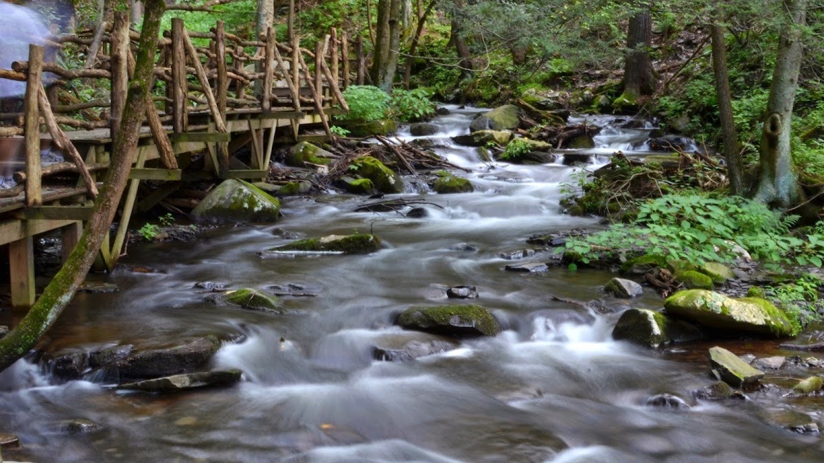 Bushkill Falls Lane