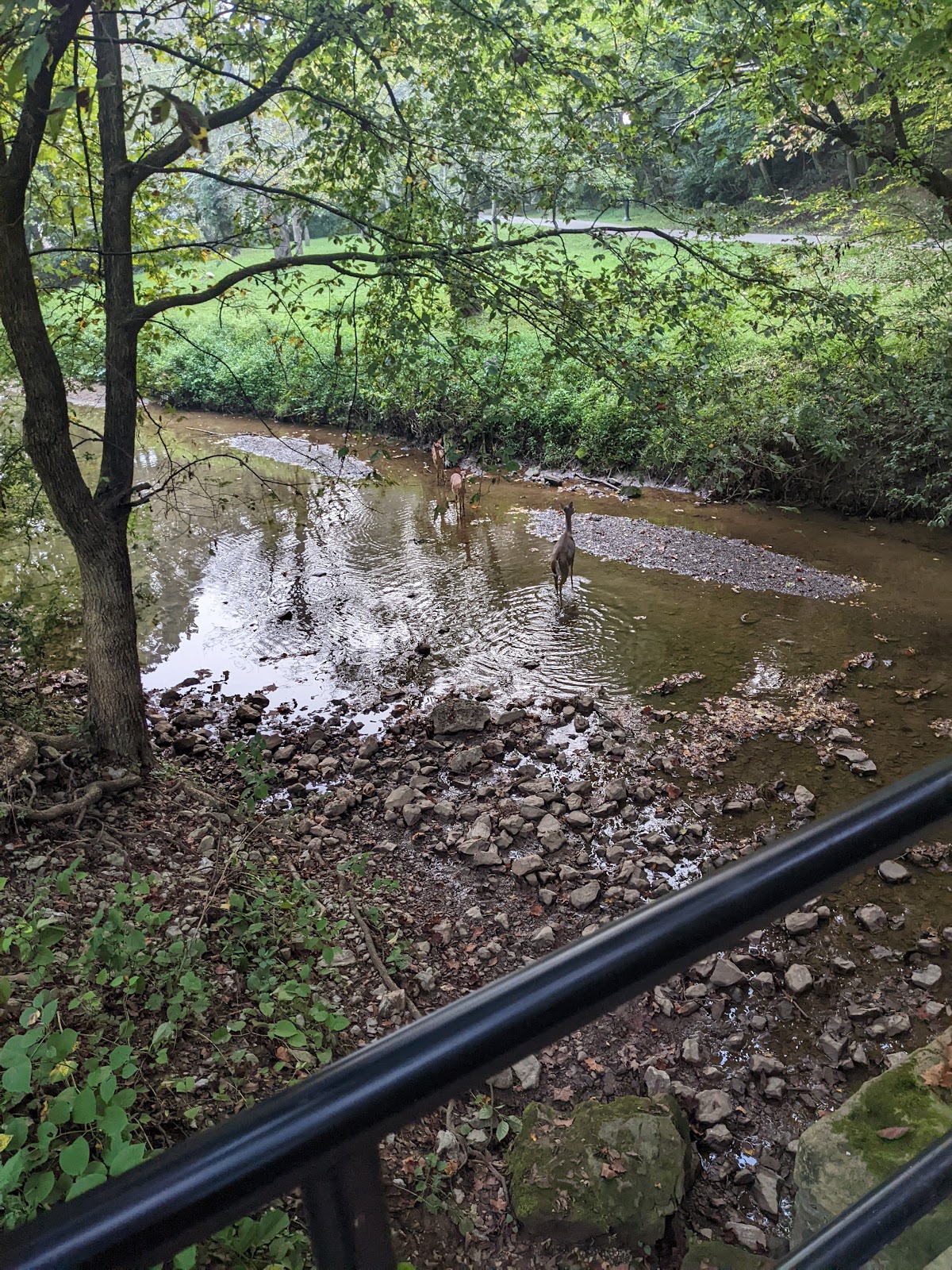 Fourpole Creek