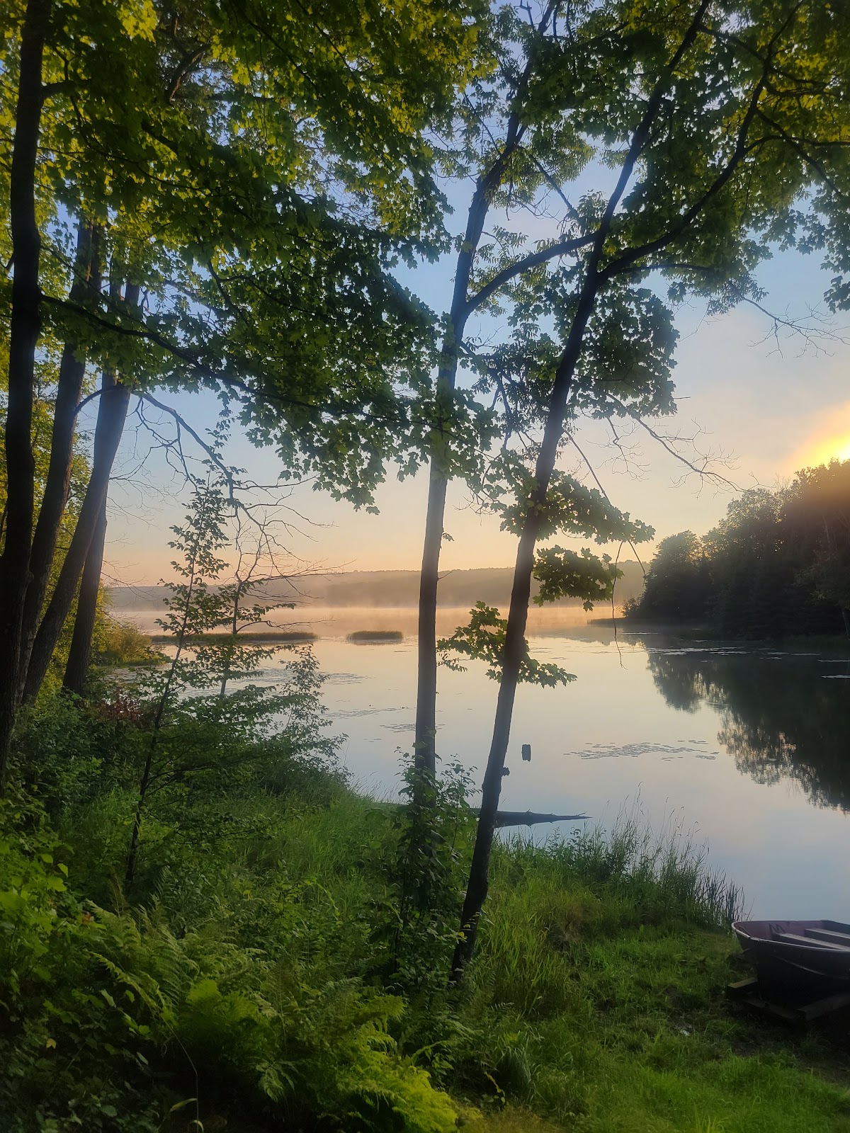 Deer Lake