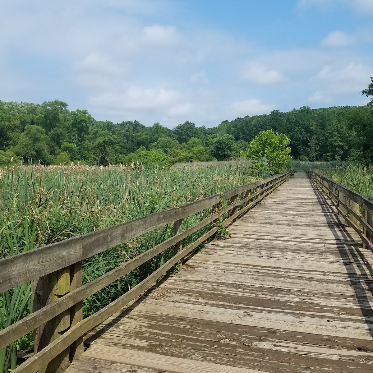 Harford Glen