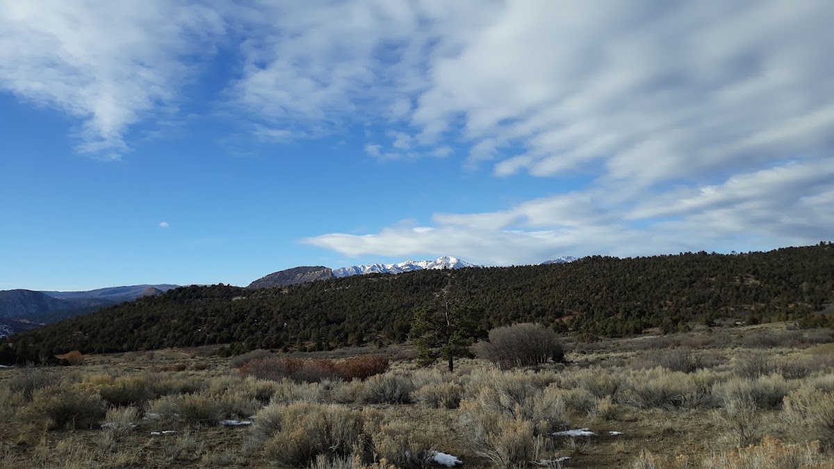 Horse Gulch