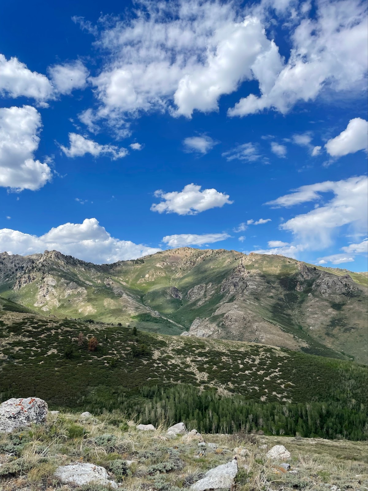 Overland Lake Trail #47