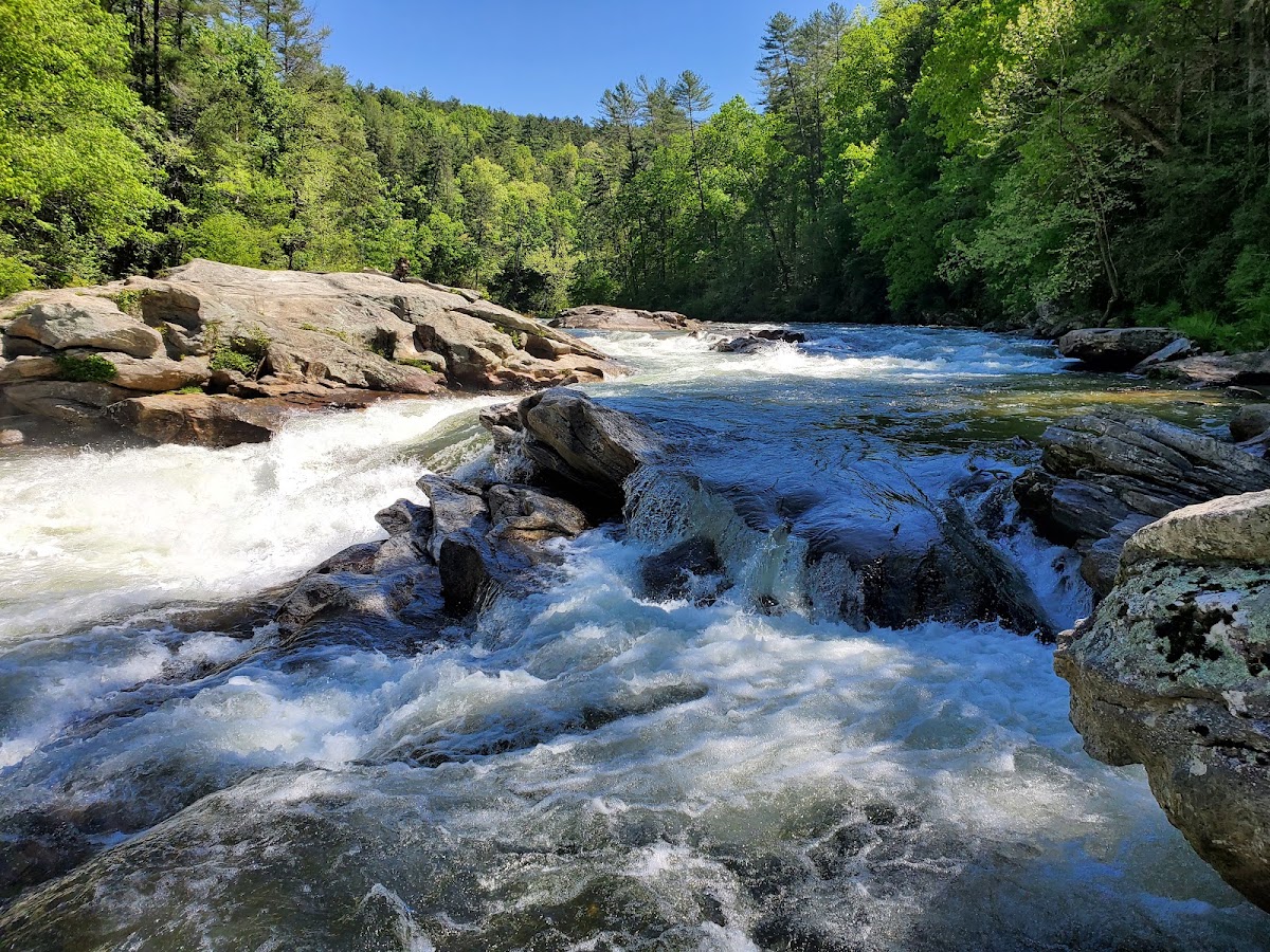 Chattooga River