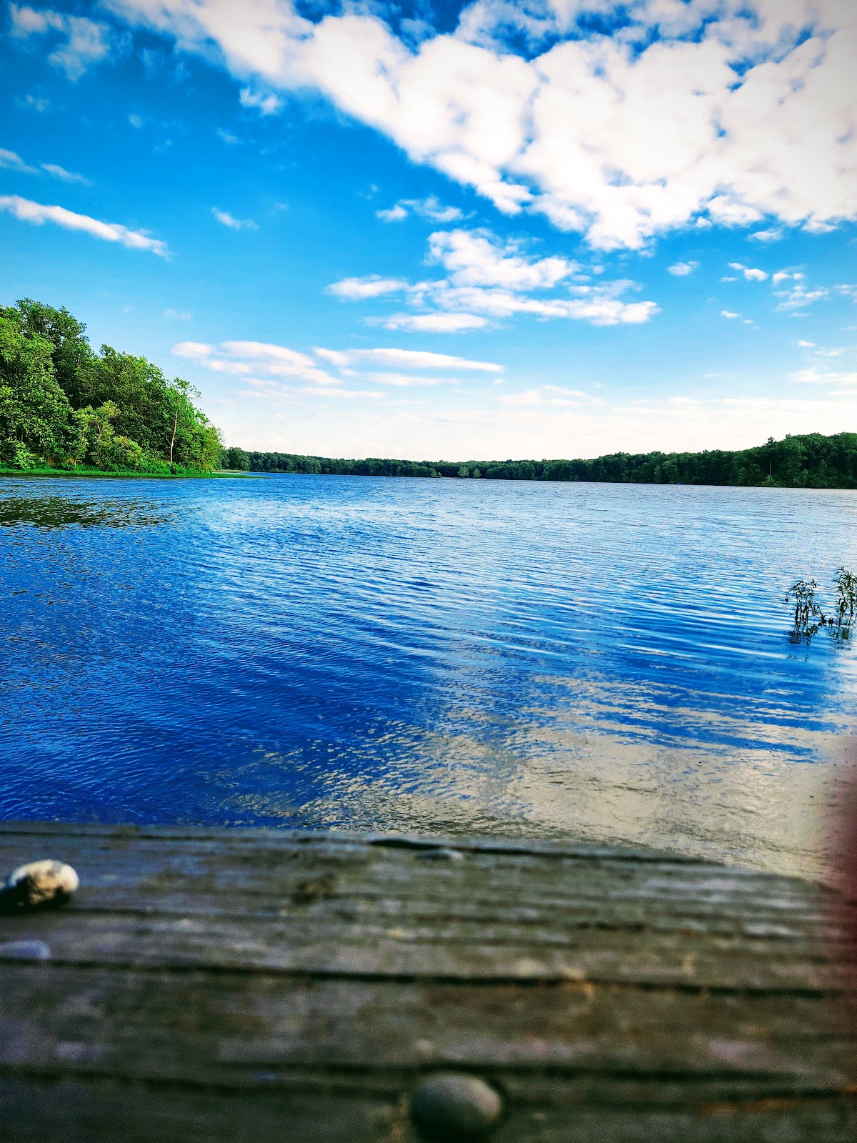 Forbes Lake