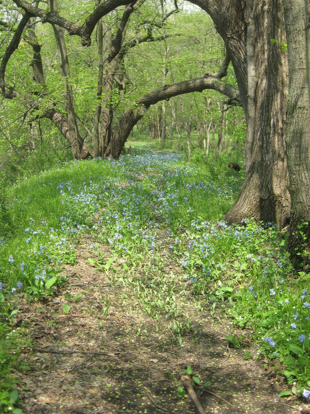 Tosanak Recreation Area