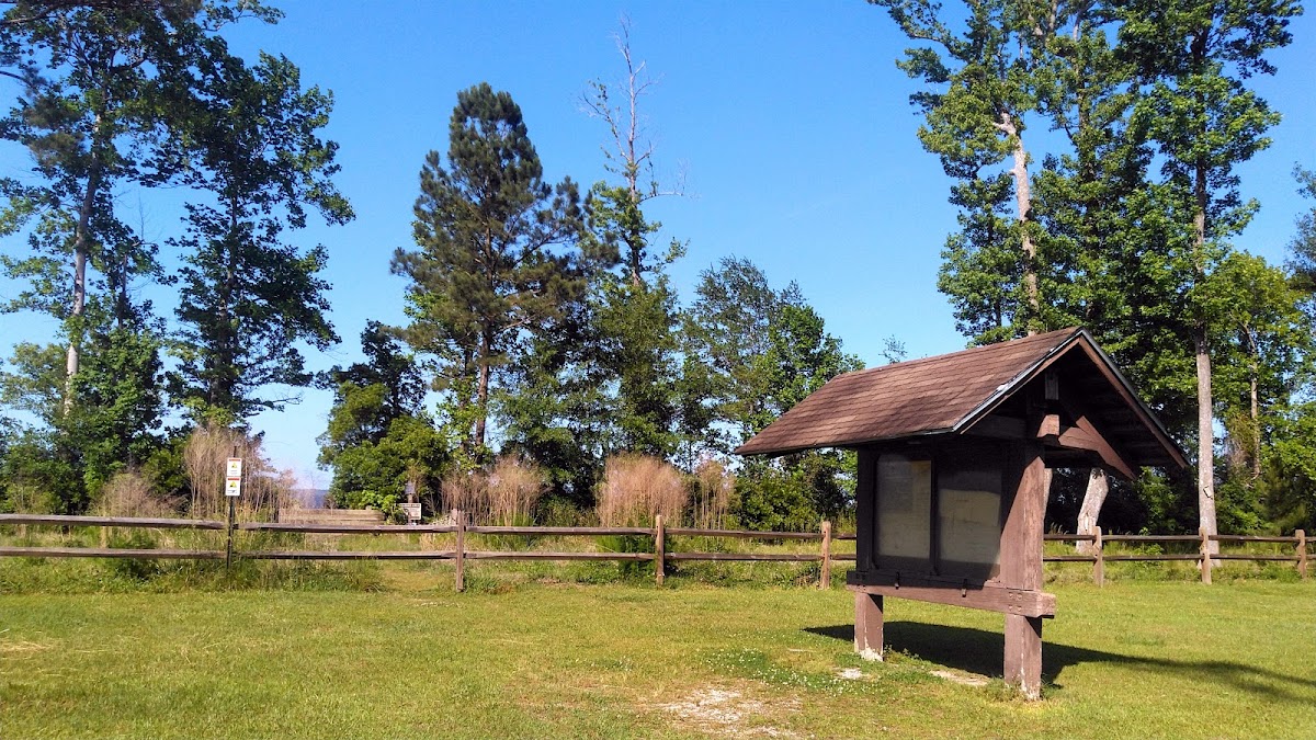 Neuse River/Flanners Beach Complex