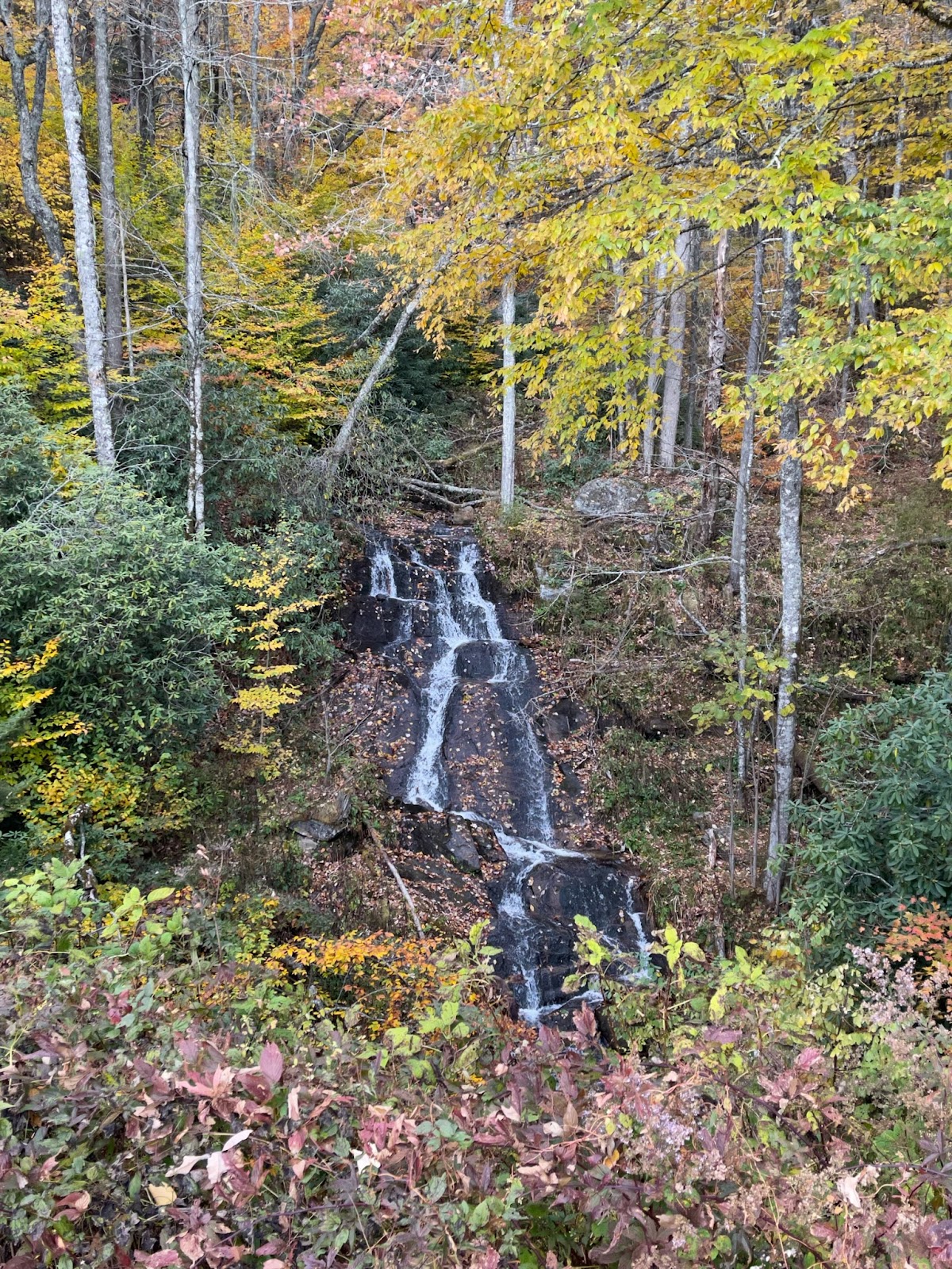 Woodfin Creek