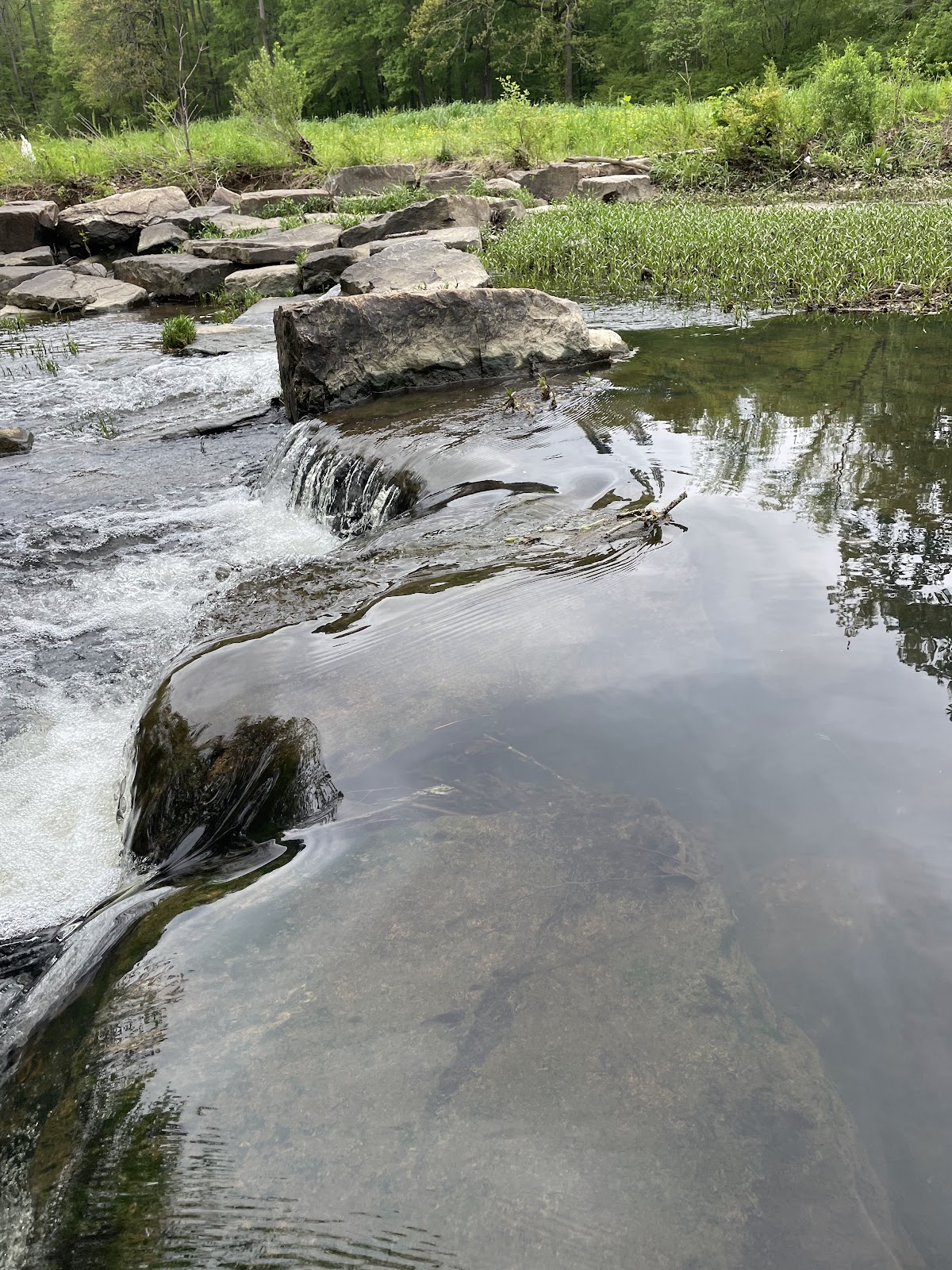 Hindman Park