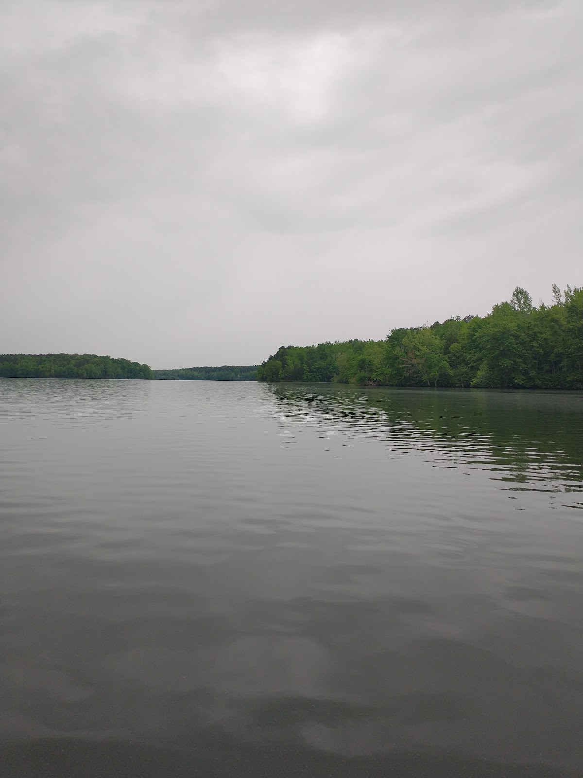 Dogwood Lake