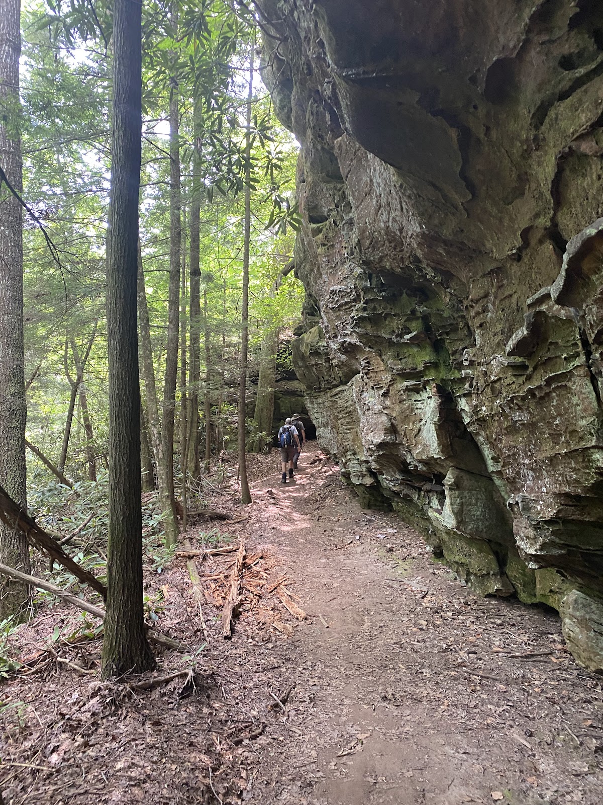 Middle Creek Nature Loop Trail