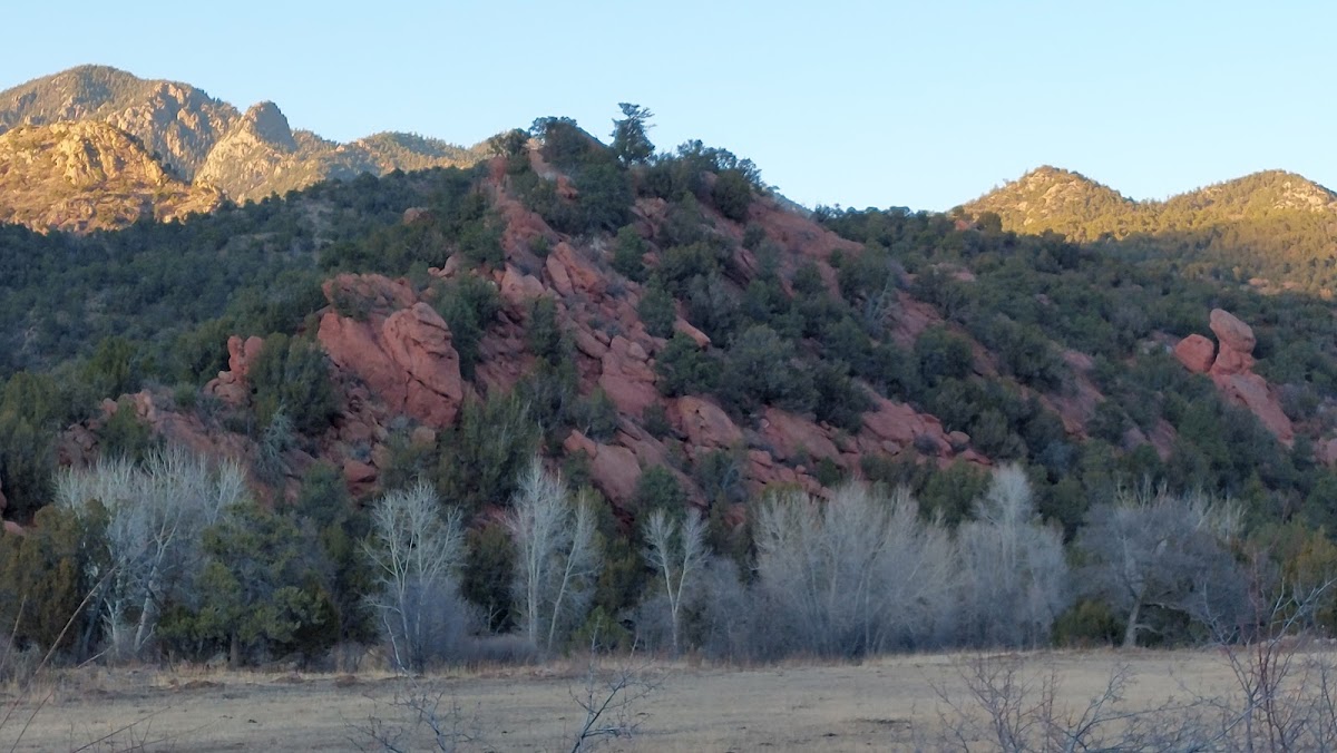 Beaver Creek Wilderness Study Area