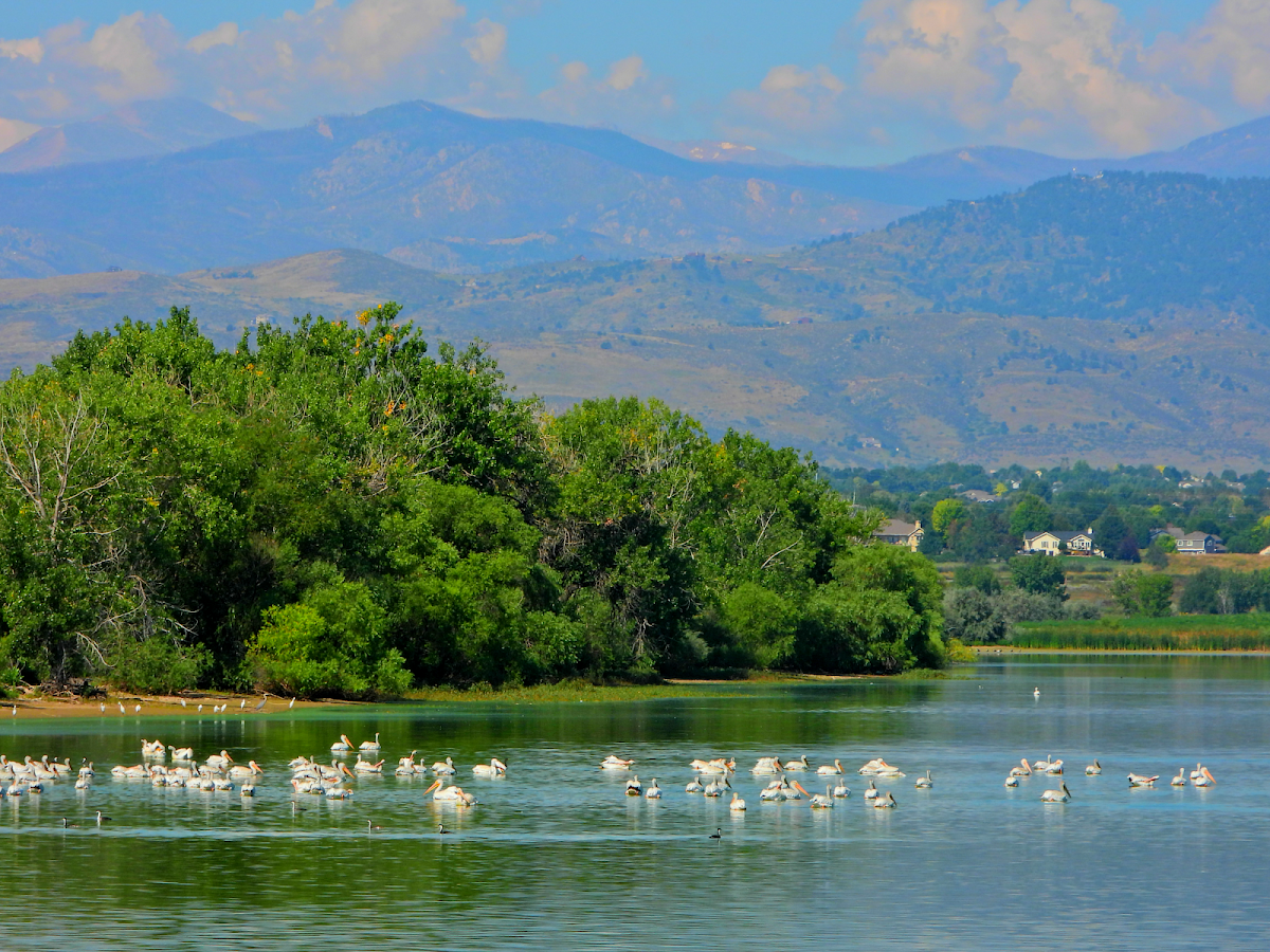 Fossil Creek Reservoir Natural Area