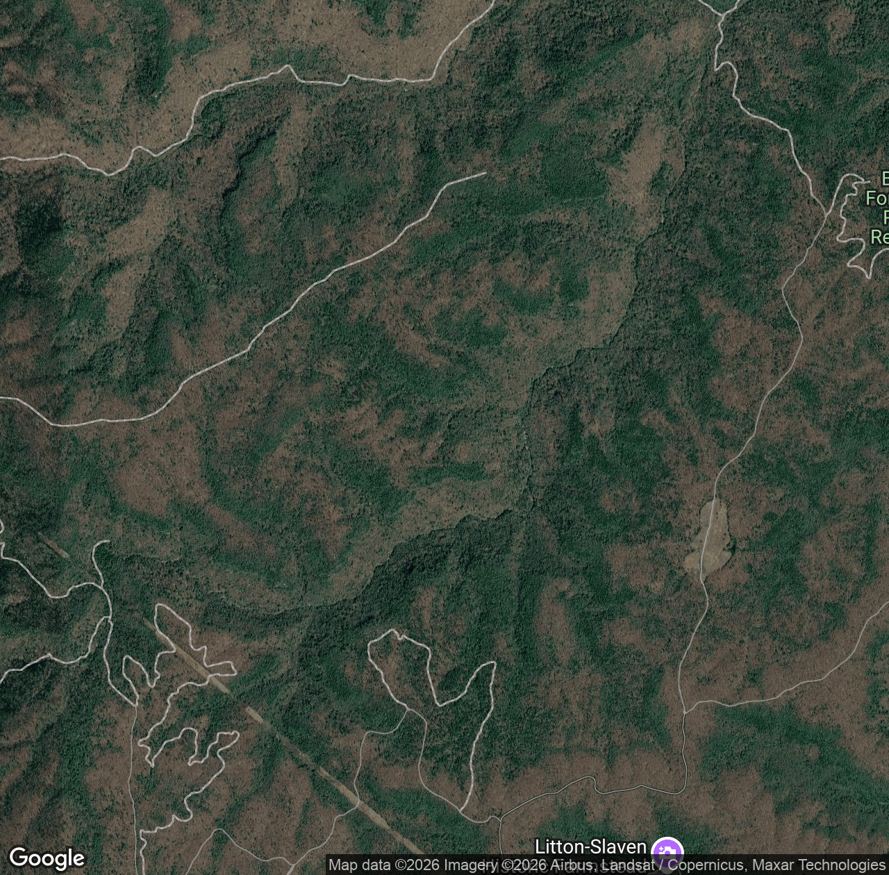 Laurel Fork Creek Trail