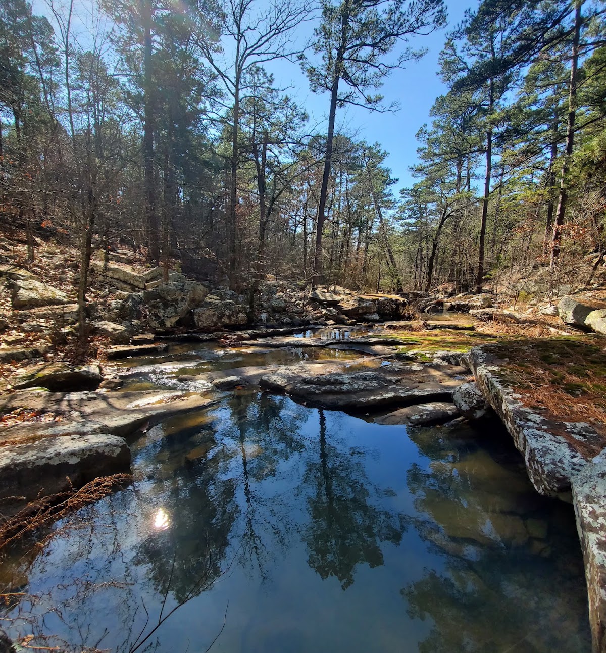 Robbers Cave Wildlife Management Area