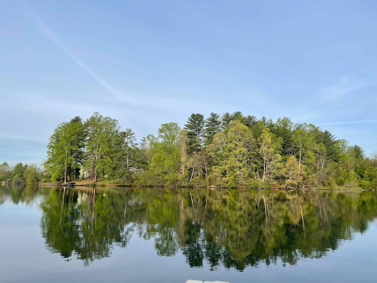 Lake Julian