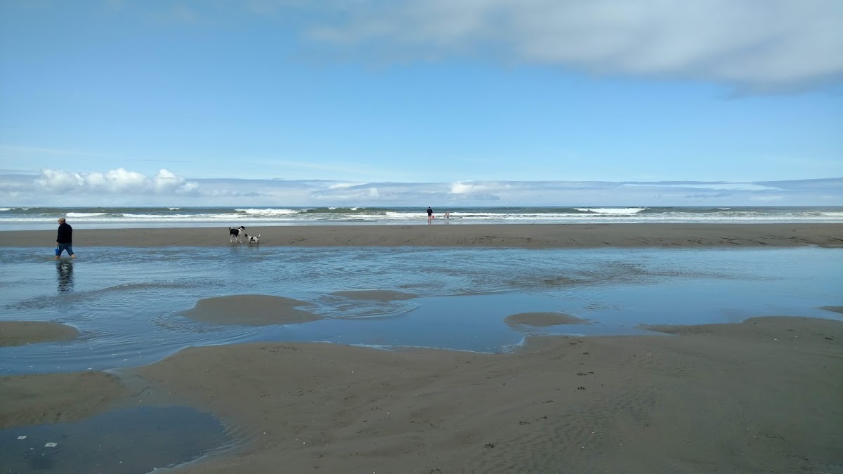 Grayland Beach State Park