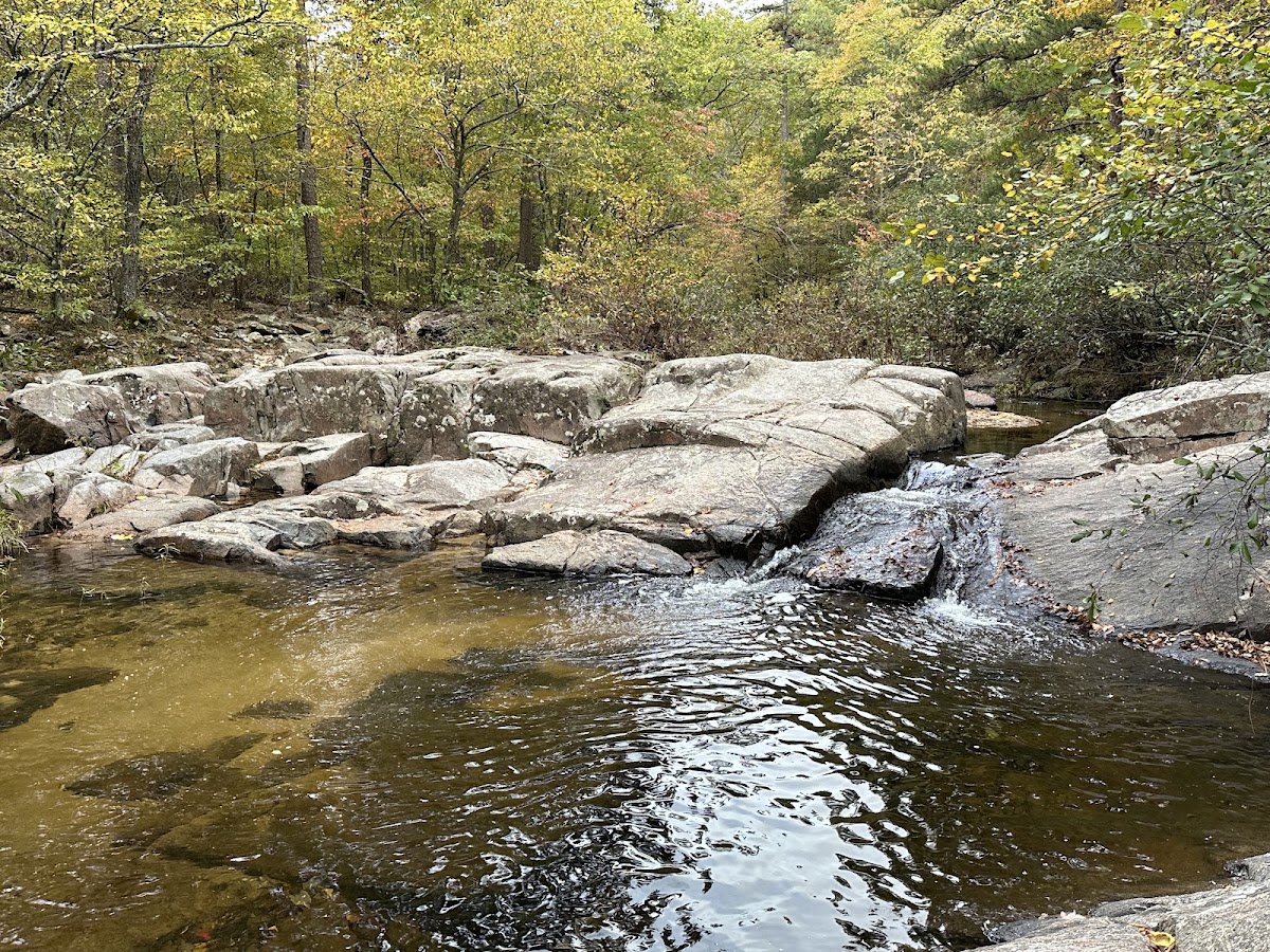 Hawn State Park