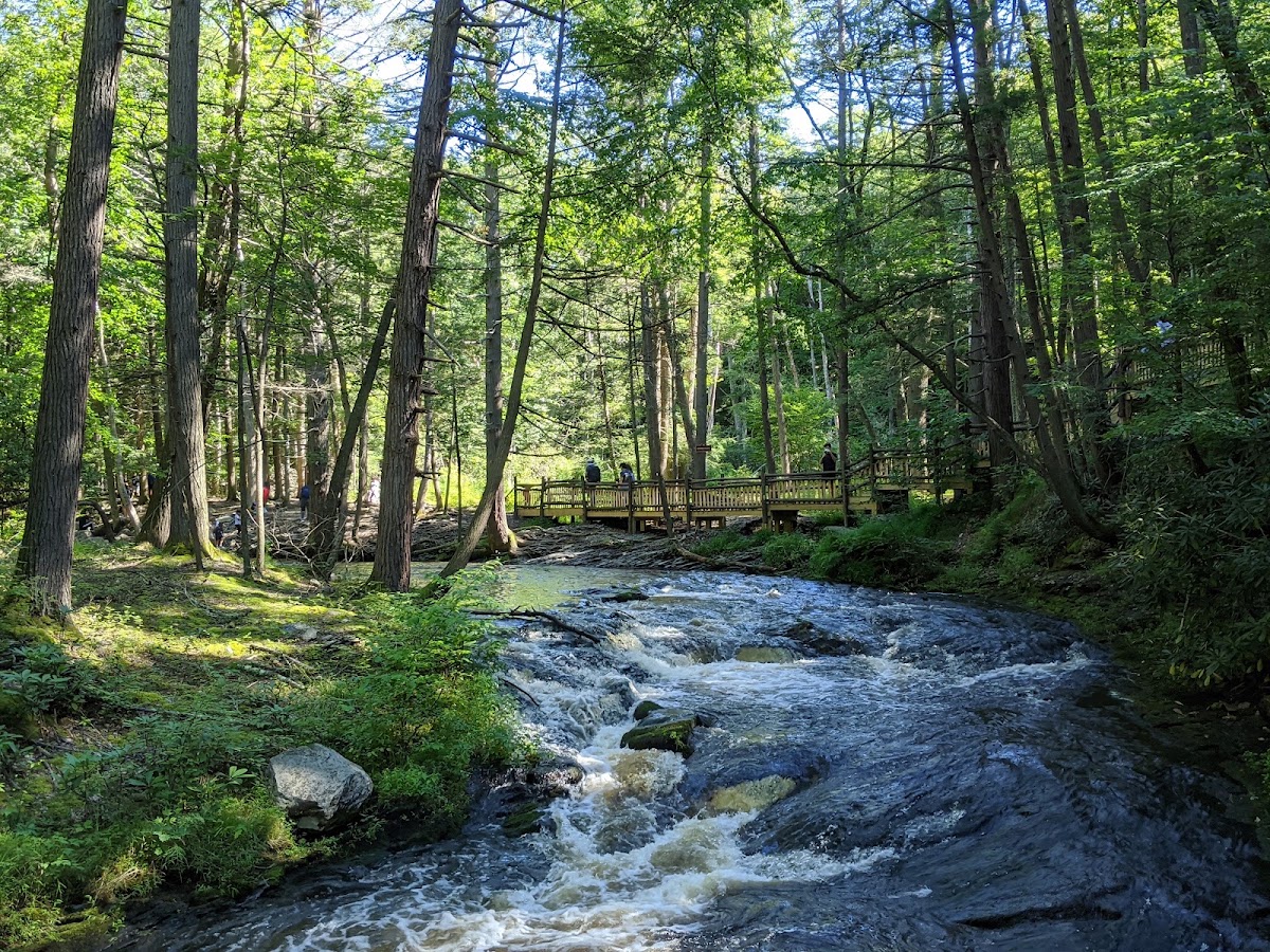 Rondout Creek