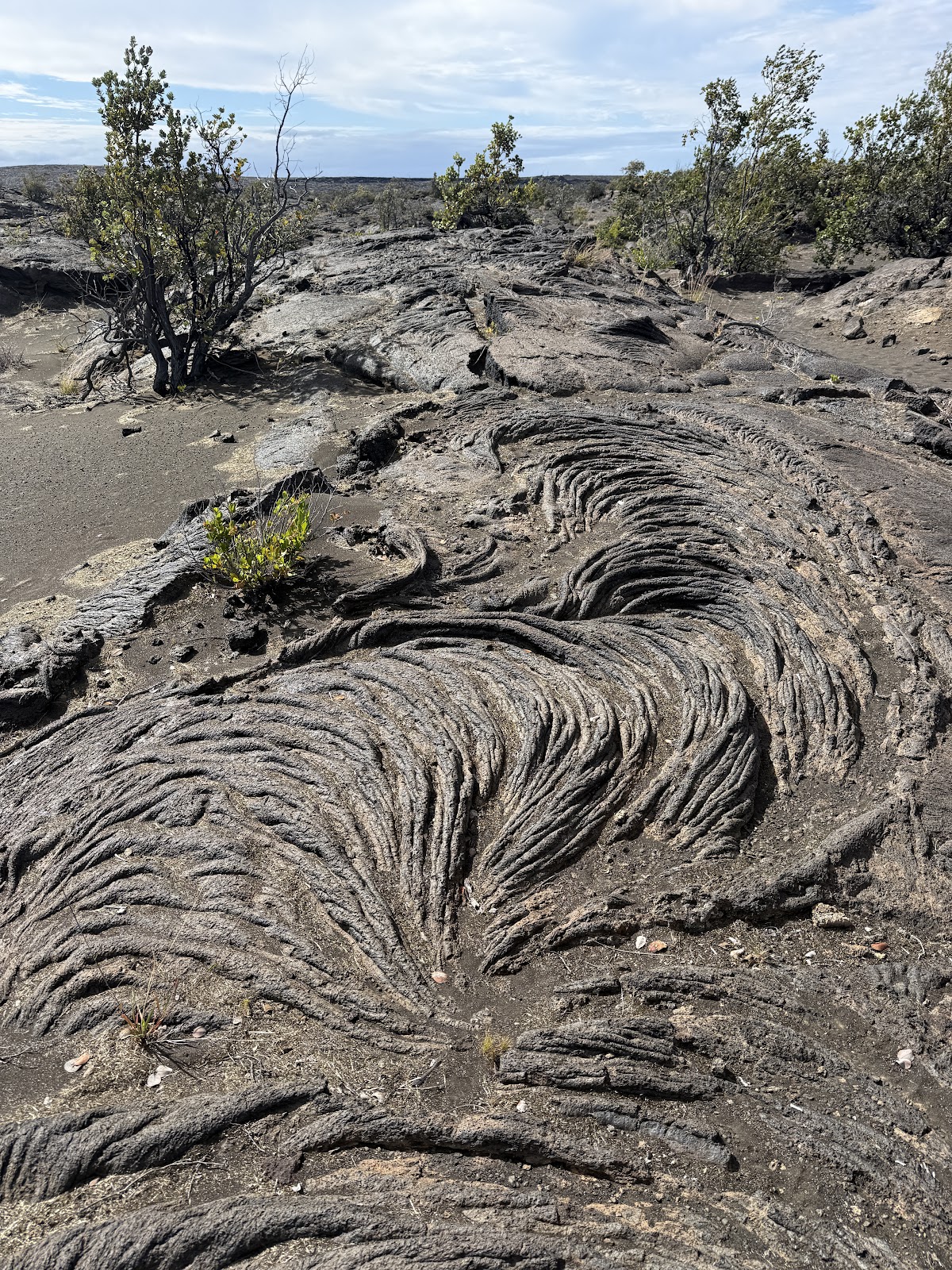 KaÊ»u Desert Trail