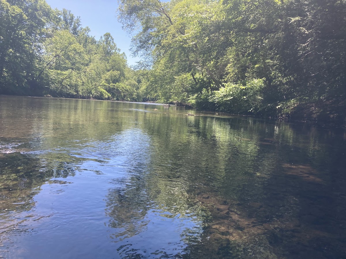 Little Schuylkill River