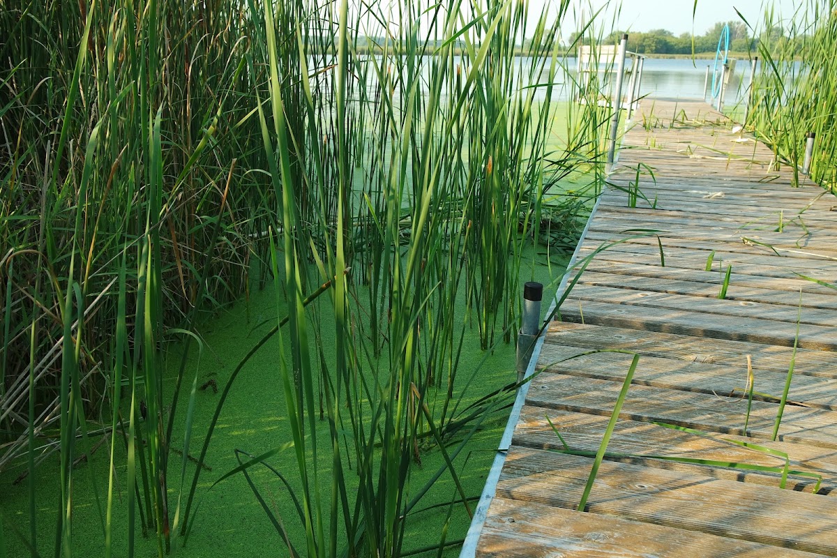 Lake Osakis