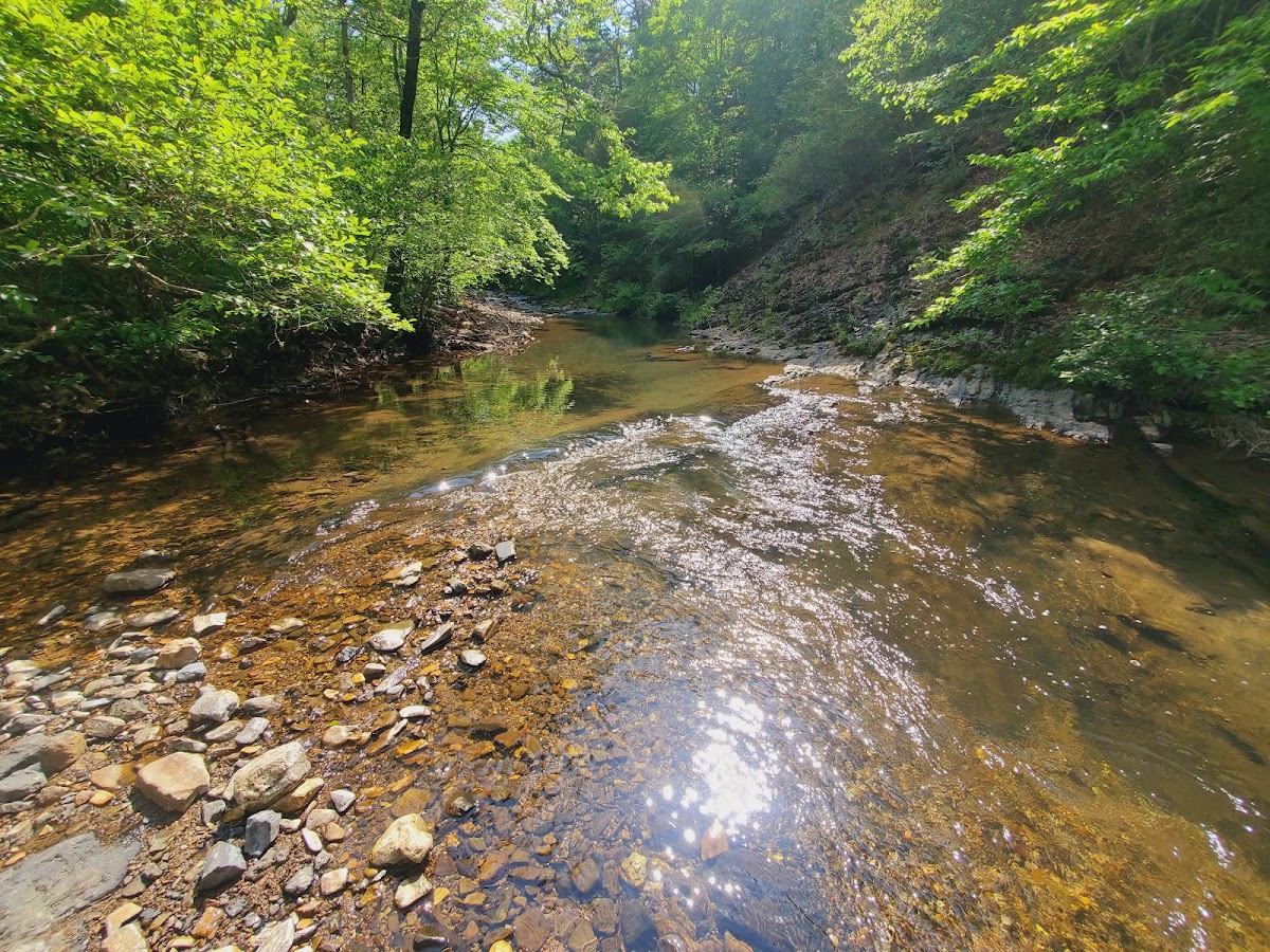 Blaylock Creek