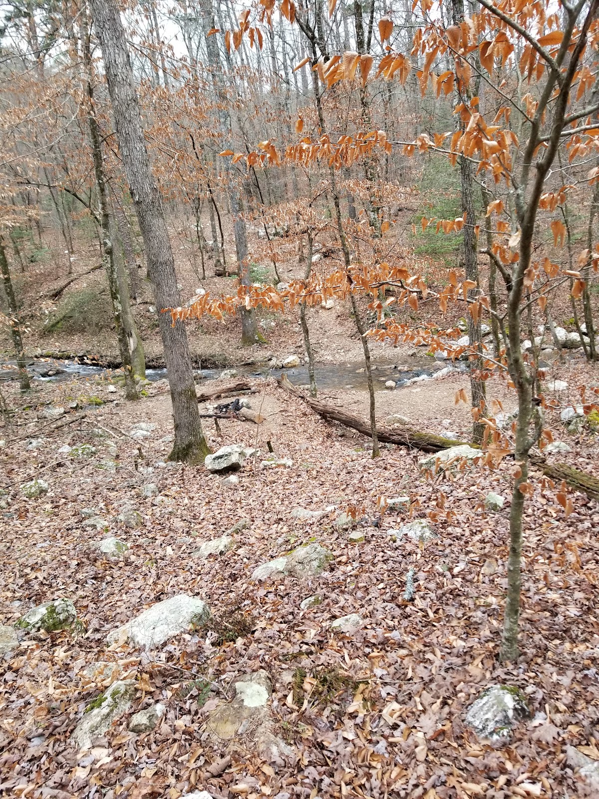 Straight Creek