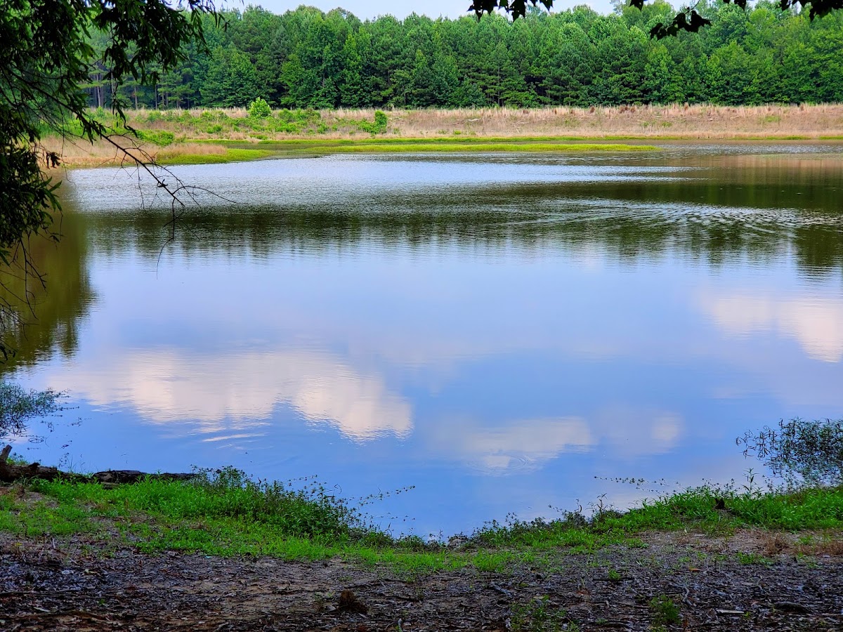 North Cypress Lake Recreation Area