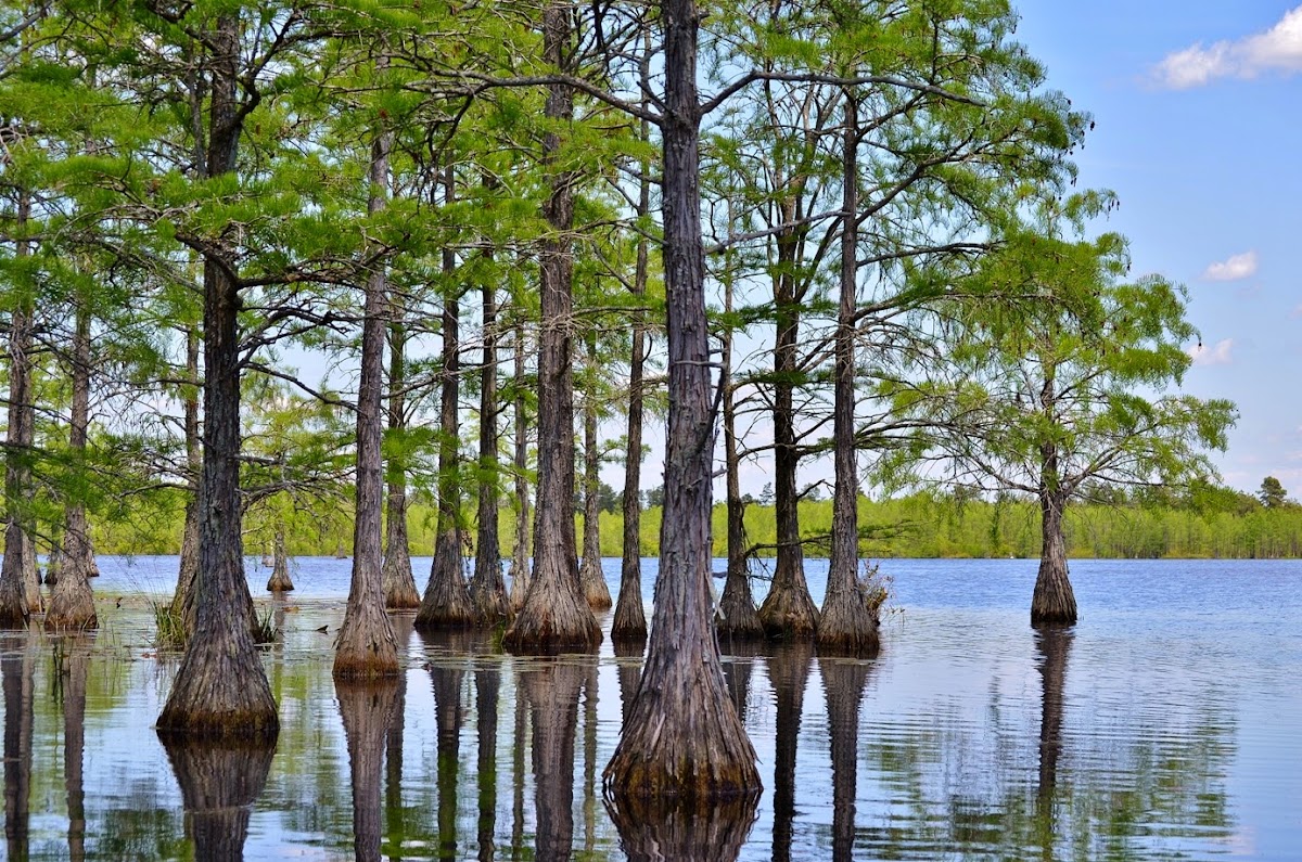 Horseshoe Lake