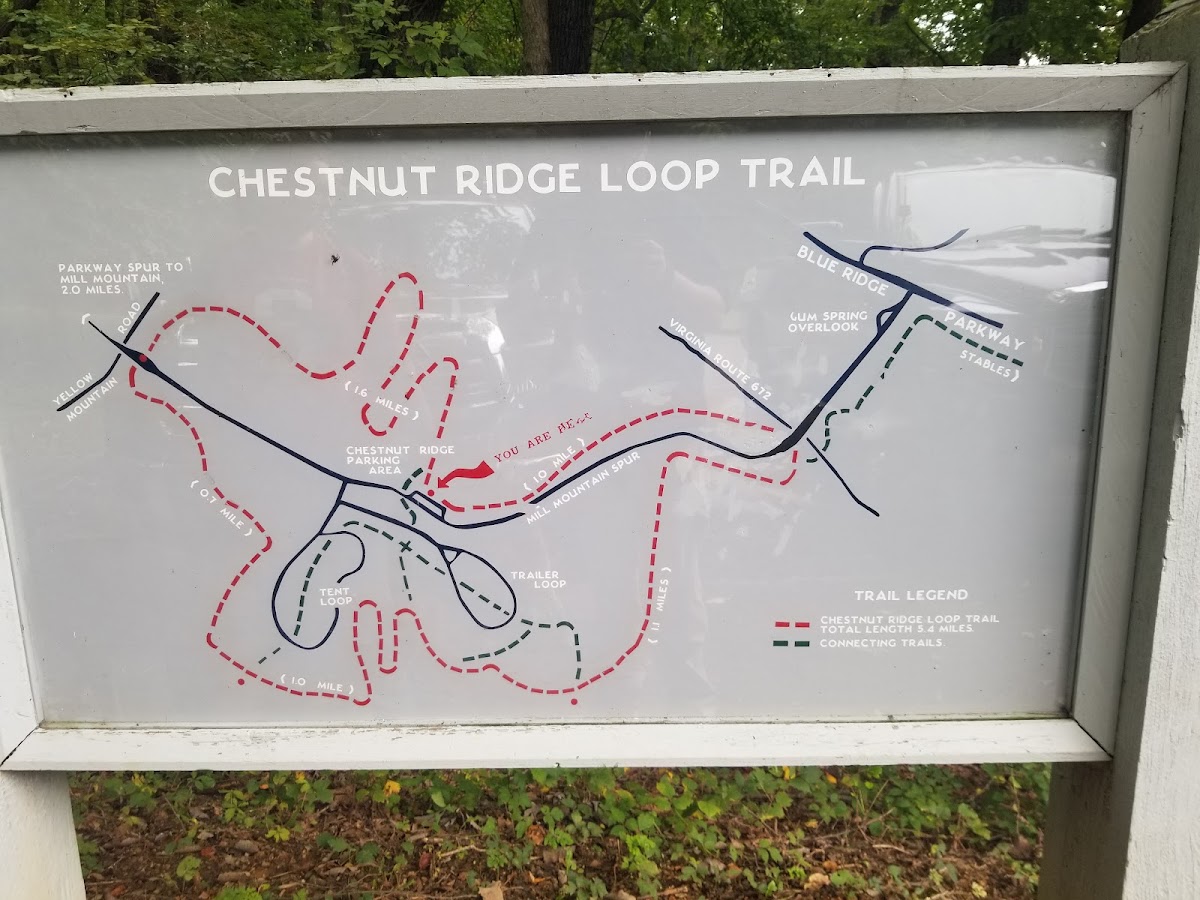 Chestnut Ridge Trail