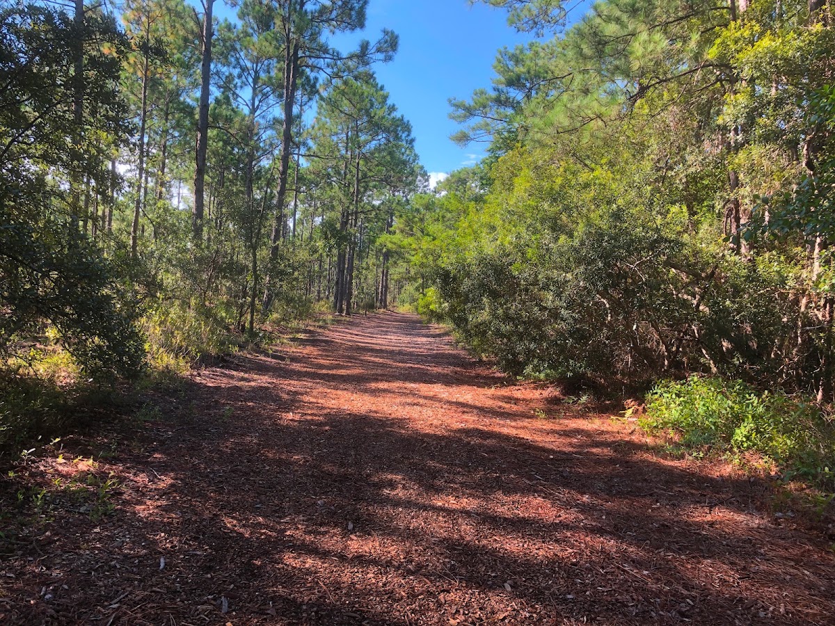 Peter Horry Wildlife Preserve