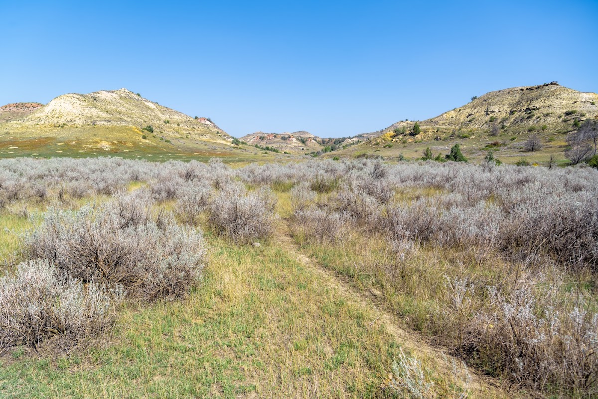 Upper Paddock Creek Trail