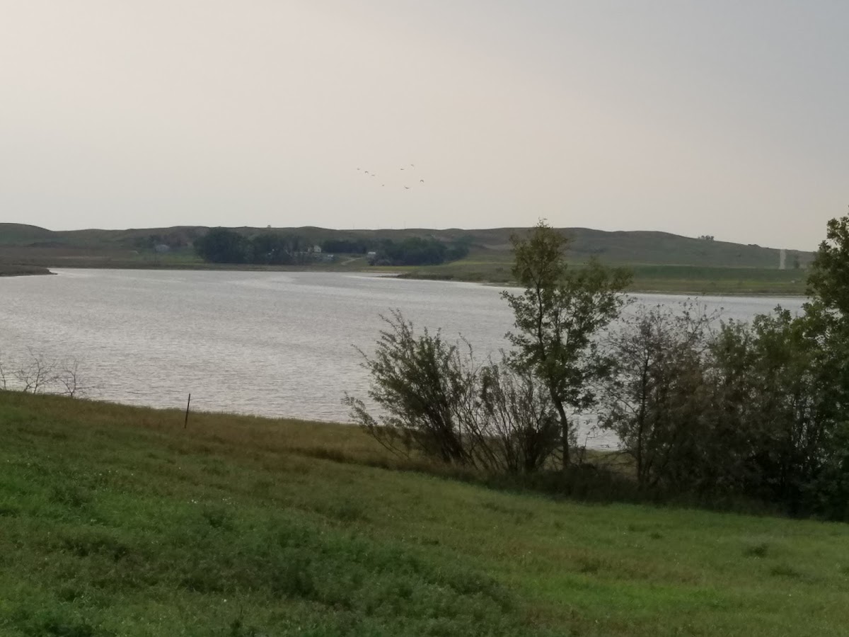Nead Lake