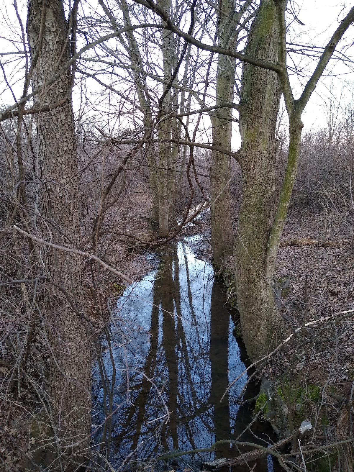 Middle Creek