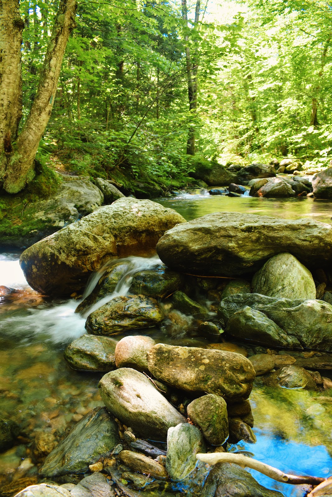 Emily Proctor Trail
