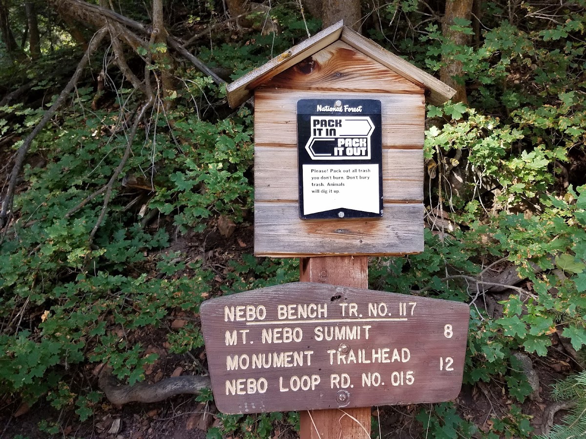 Nebo Bench Trail