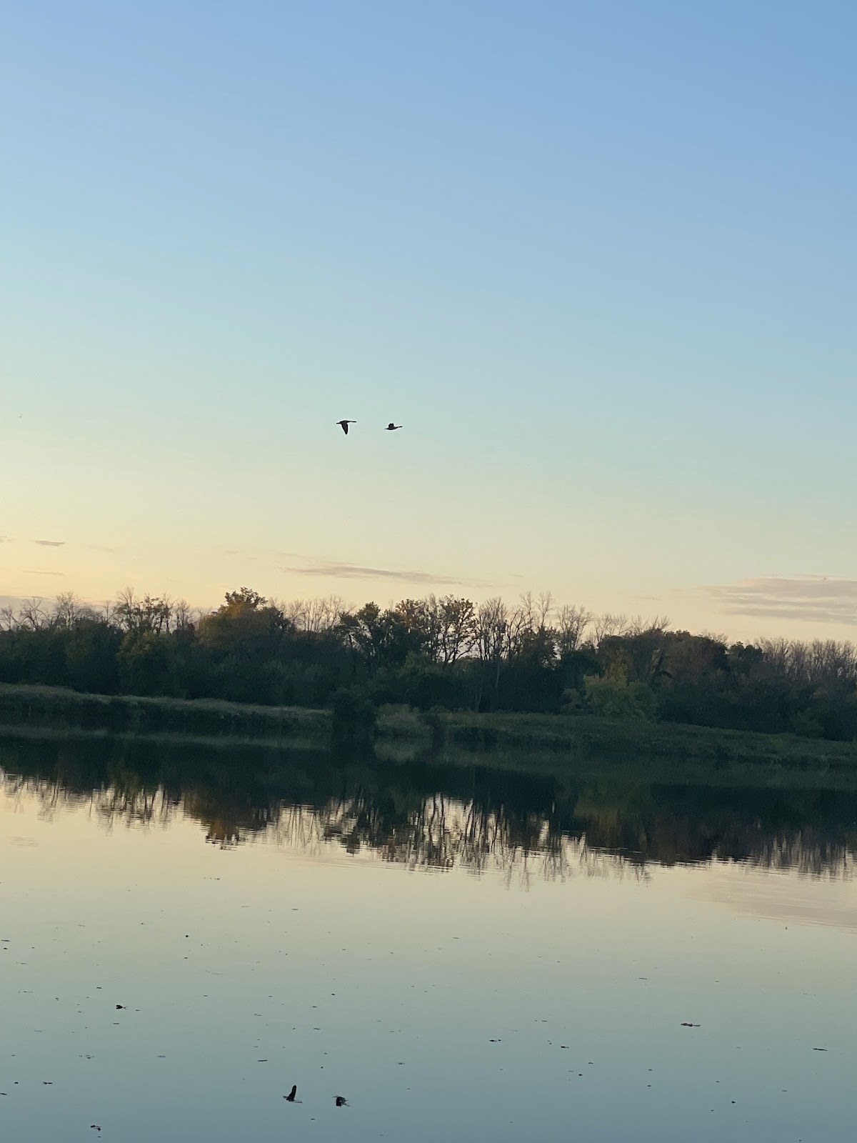 Lake Belle View