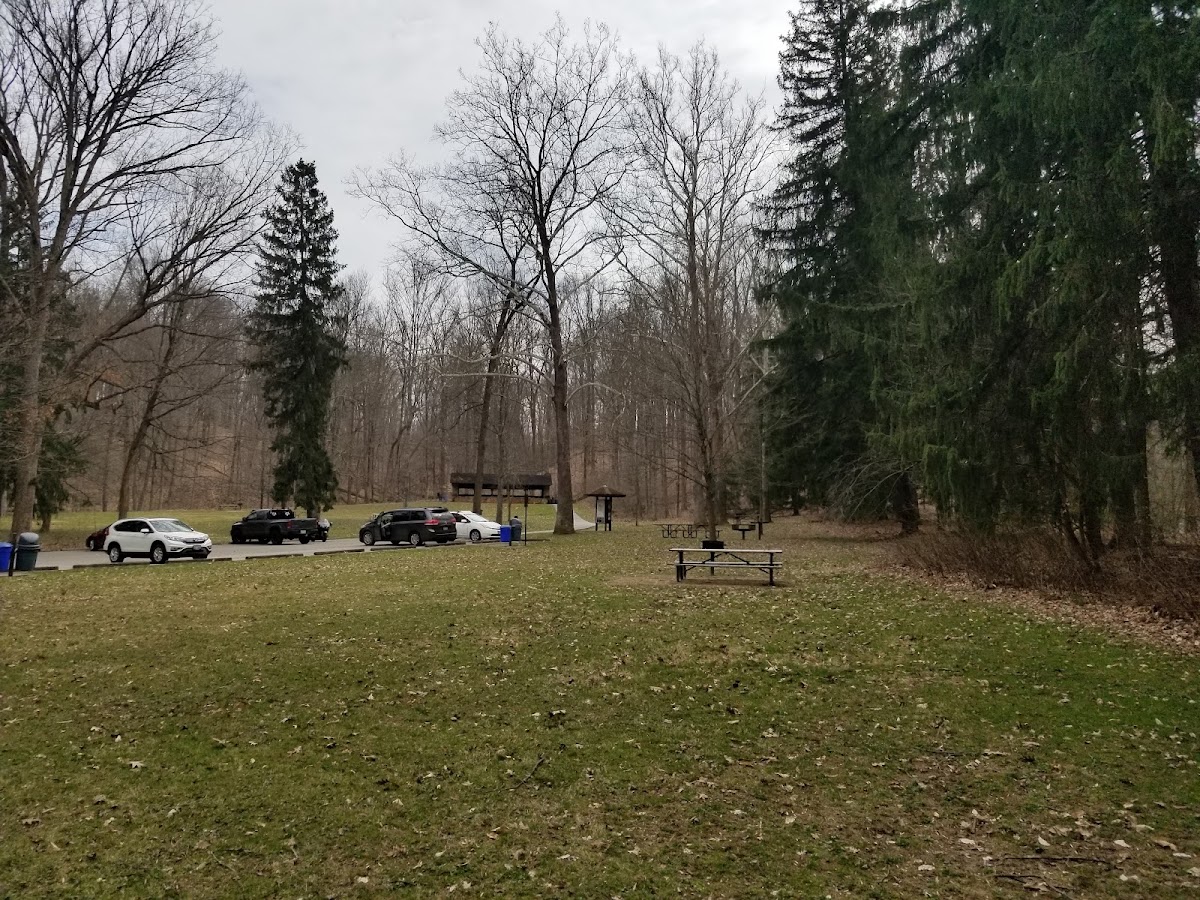 Plateau Picnic Area