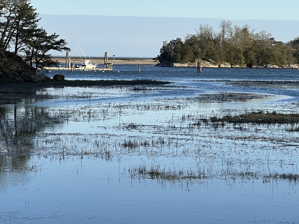 Farm River