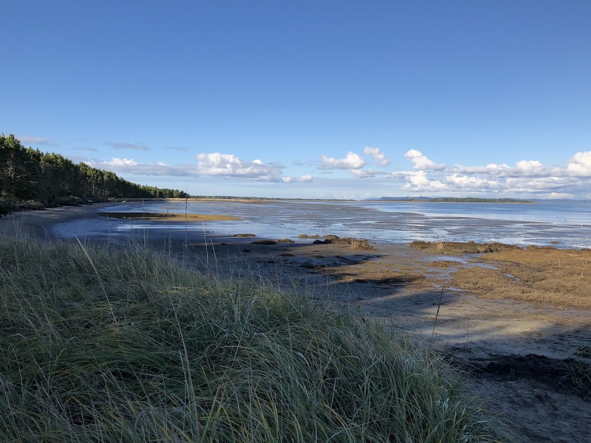 Leadbetter Point State Park